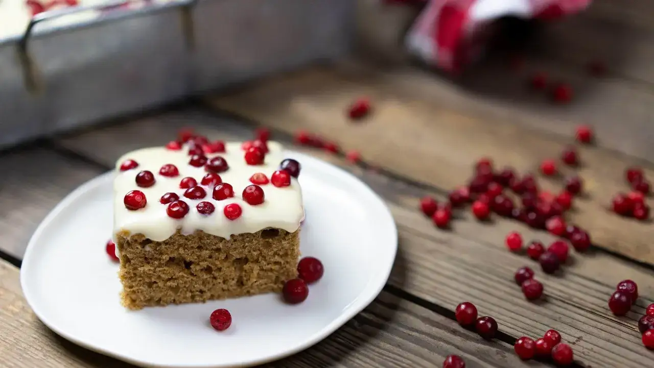 En bit mjuk pepparkaka med vit frosting och lingon. En härlig julsmak på ett fat.